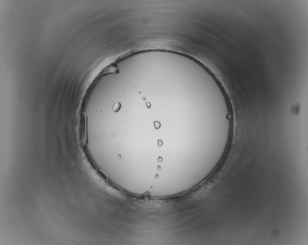 X0000113160949200909251348