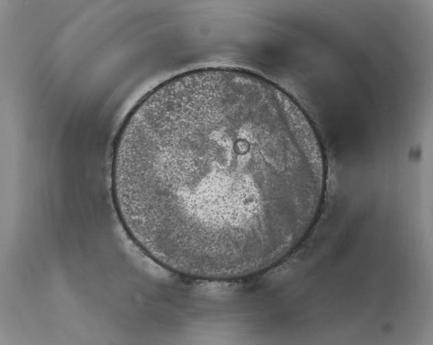 X0000113160950200909251348