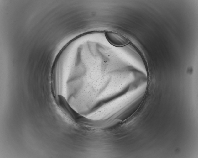 X0000113160951200909251348