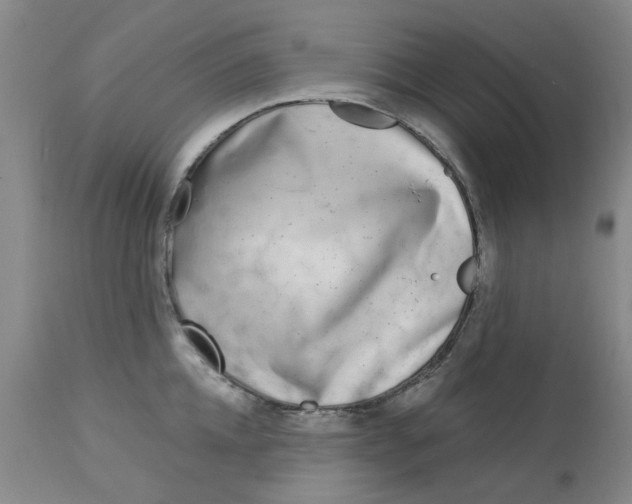 X0000113160952200909251348