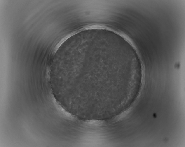 X0000113160953200909251348