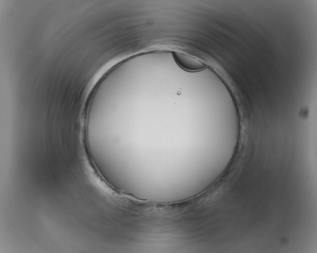 X0000113160955200909251349