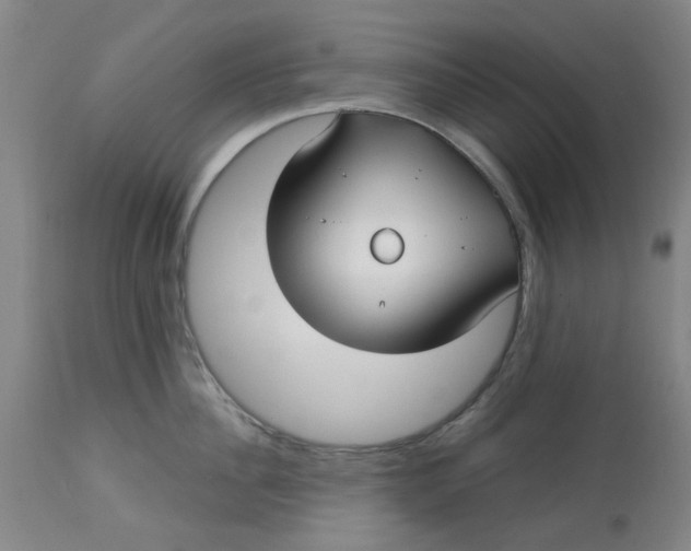 X0000113160956200909251349