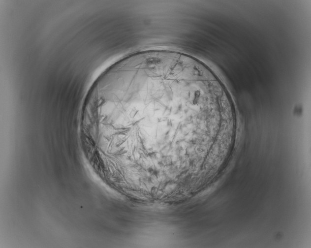 X0000113160957200909251349