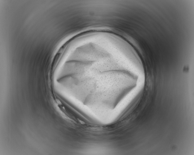 X0000113160959200909251349