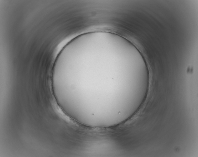 X0000113160960200909251349