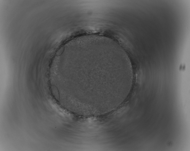 X0000113160961200909251348