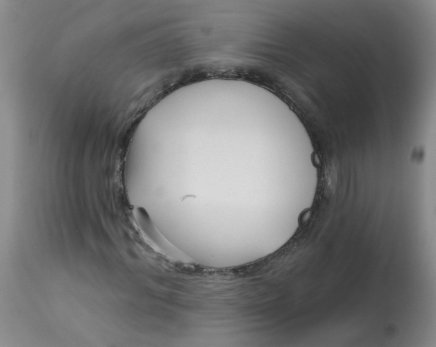 X0000113160964200909251348