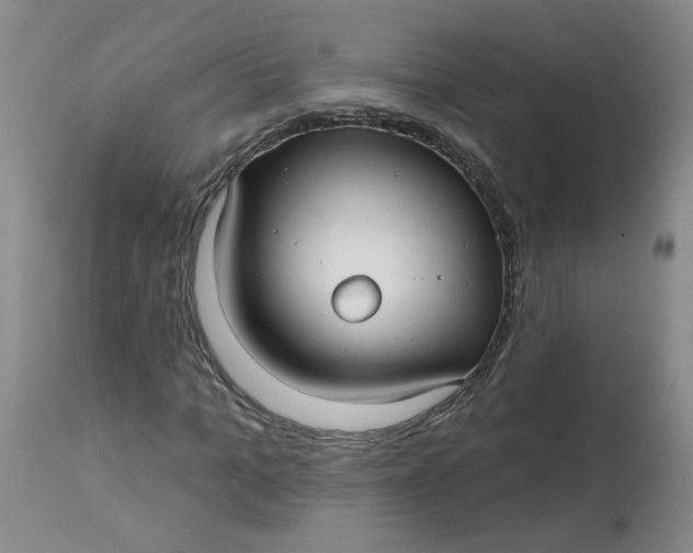 X0000113160965200909251348