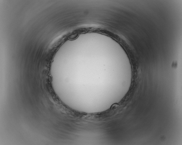 X0000113160967200909251348