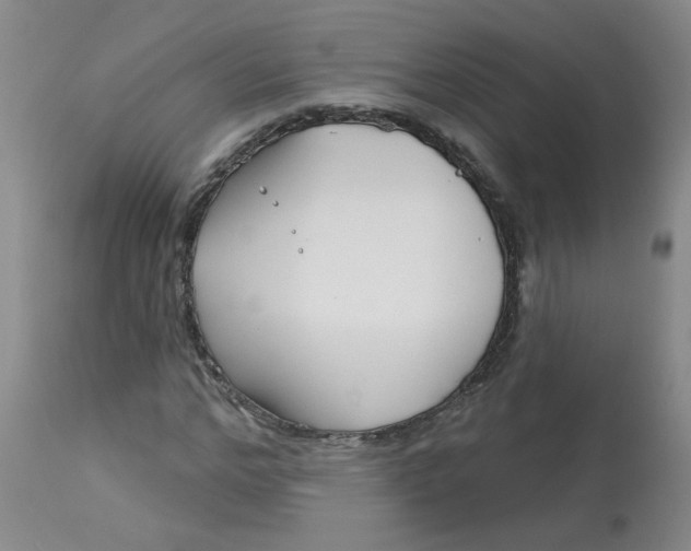 X0000113160968200909251348