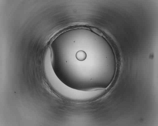 X0000113160969200909251348