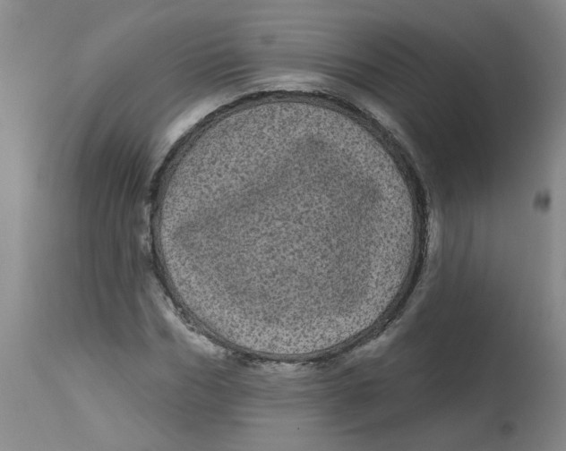 X0000113160970200909251348