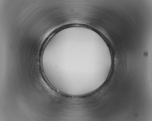 X0000113160972200909251348