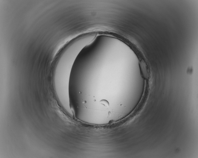 X0000113160973200909251348