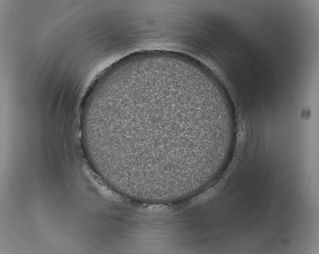 X0000113160974200909251348