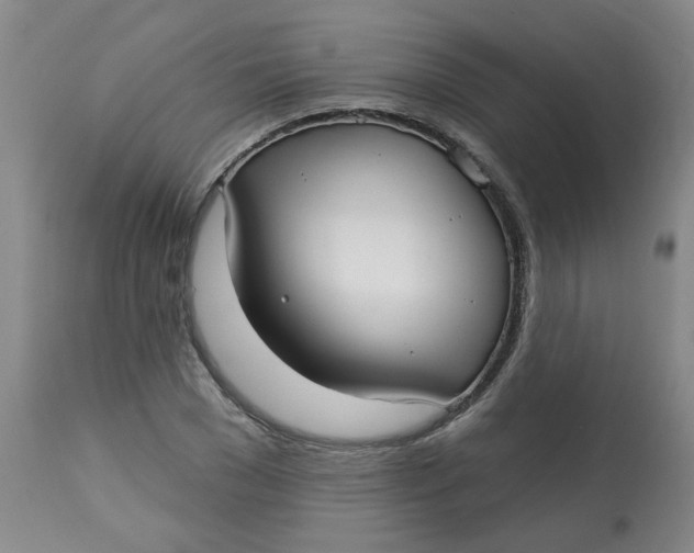 X0000113160977200909251348