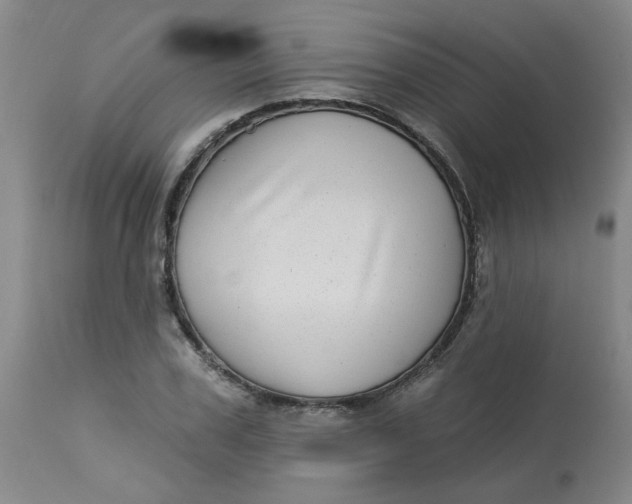 X0000113160979200909251348