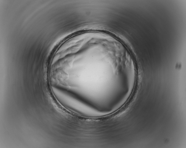 X0000113160981200909251348