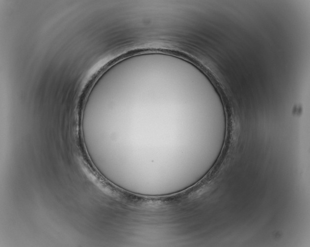 X0000113160982200909251348