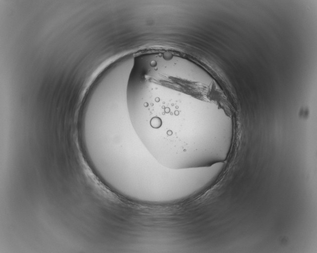 X0000113160984200909251348