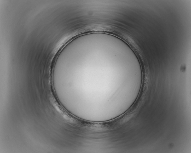 X0000113160986200909251348