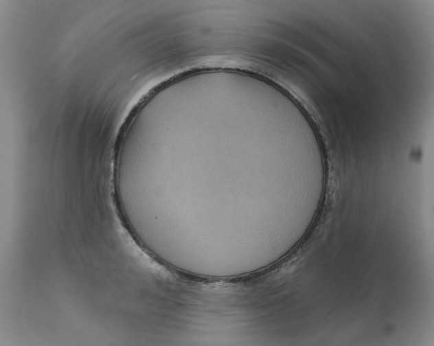 X0000113160992200909251348