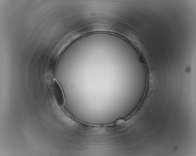 X0000113160993200909251347