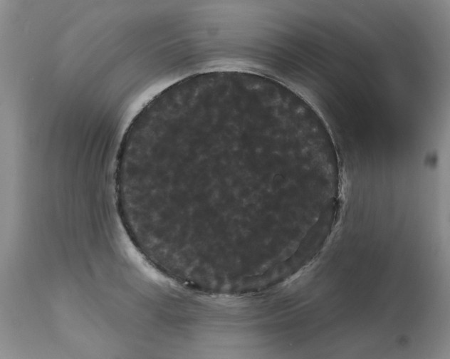 X0000113160995200909251347