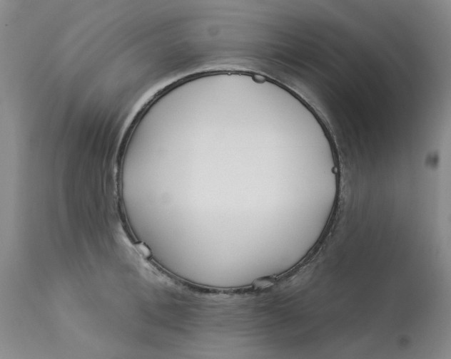 X0000113160996200909251347