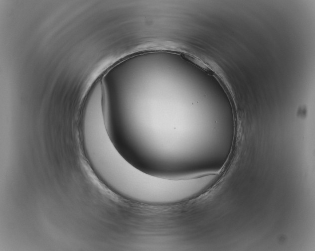 X0000113160997200909251347