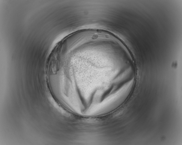 X0000113160998200909251347