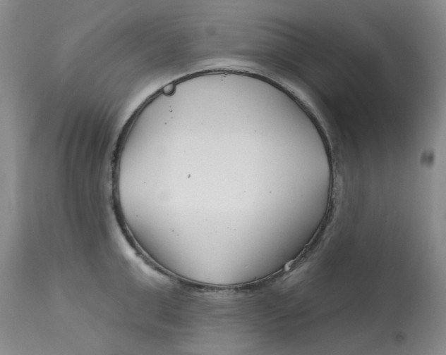 X0000113160999200909251347