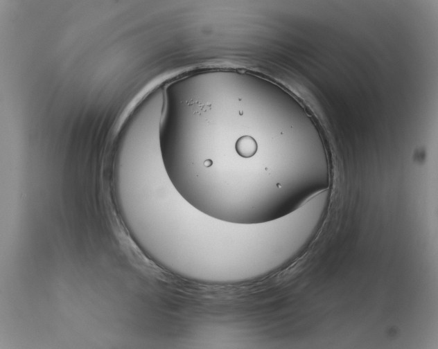 X0000113161000200909251347