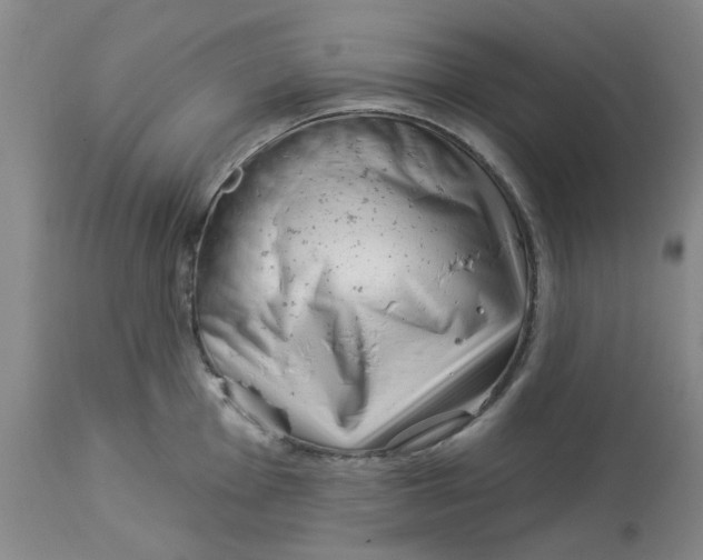 X0000113161001200909251347