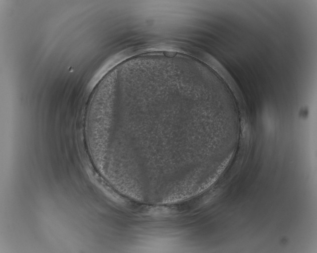 X0000113161002200909251347