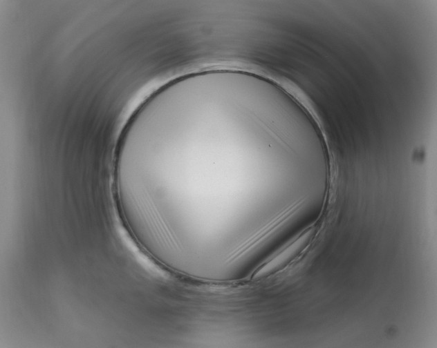 X0000113161005200909251347