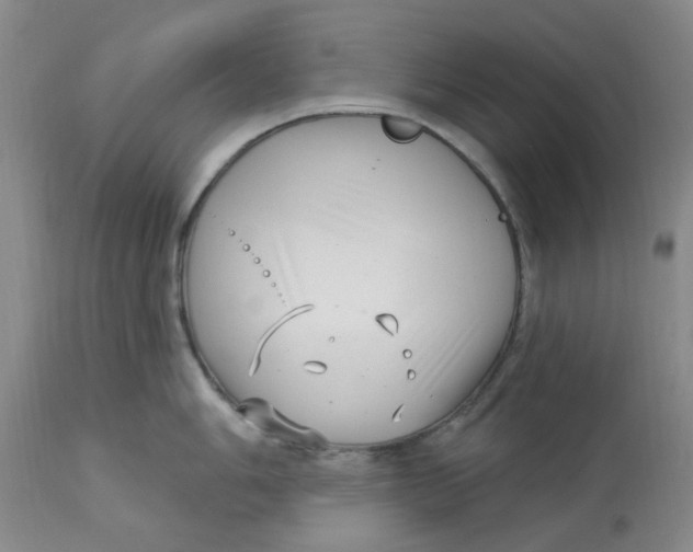 X0000113161006200909251347