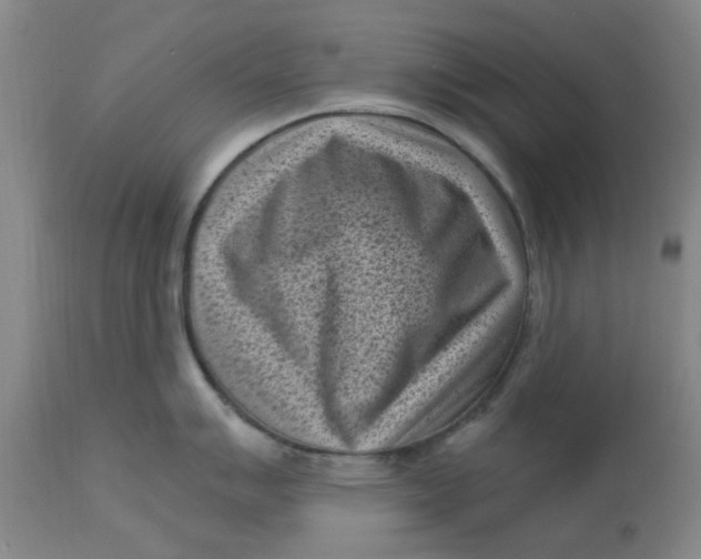 X0000113161007200909251347