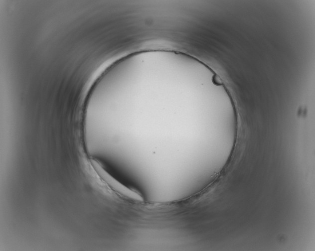 X0000113161008200909251347