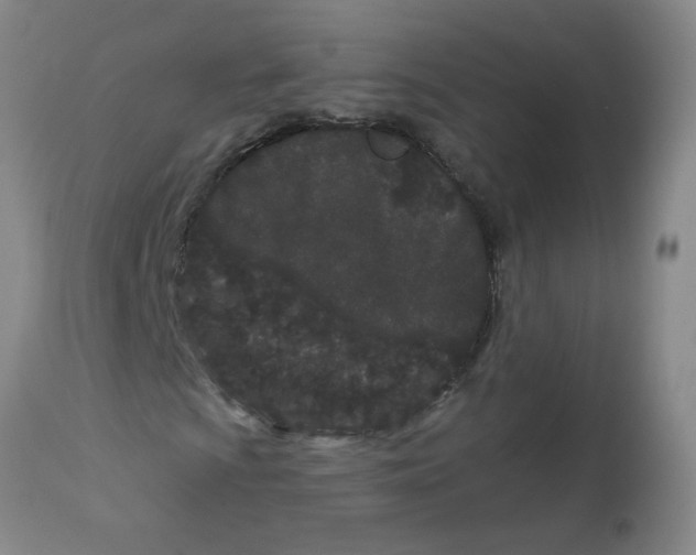 X0000113161009200909251346