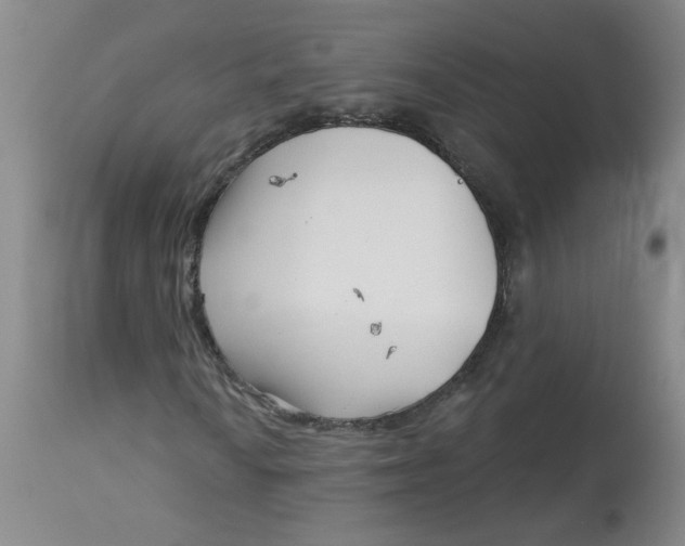 X0000113161010200909251346