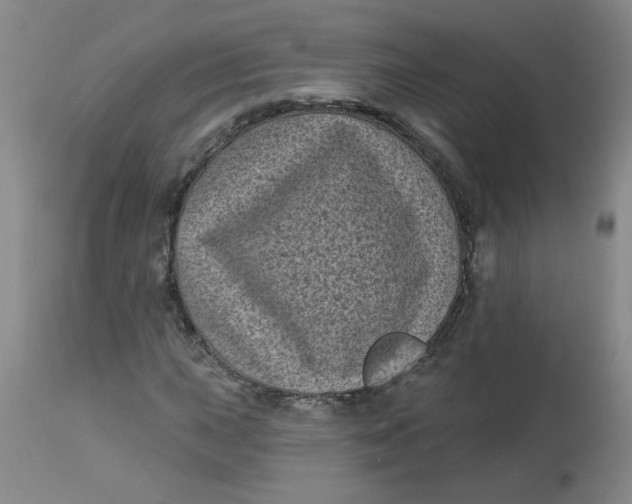 X0000113161015200909251347