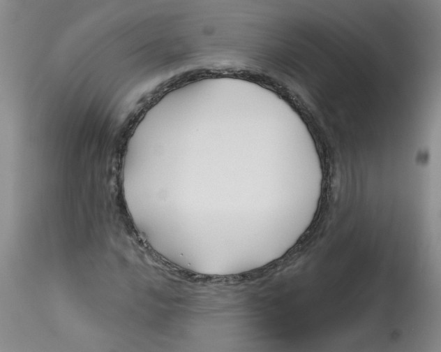 X0000113161016200909251347