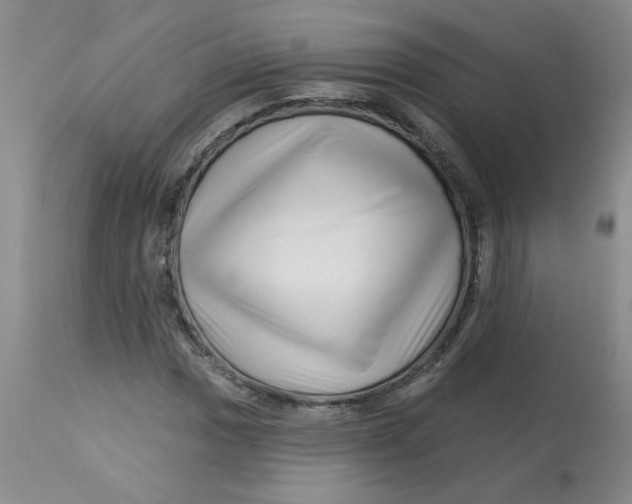 X0000113161017200909251347