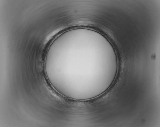 X0000113161018200909251347