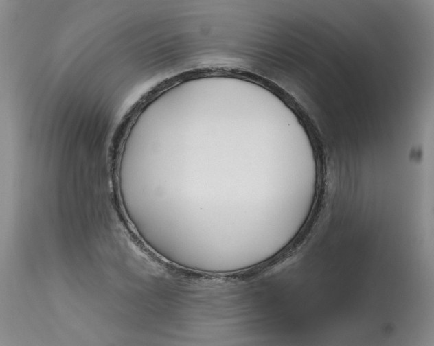 X0000113161022200909251347