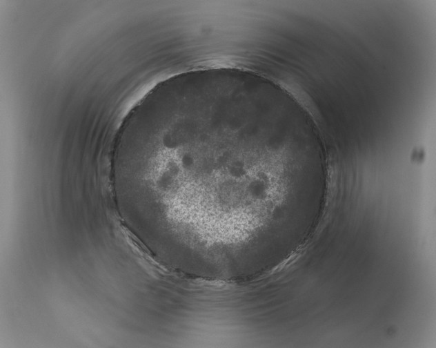 X0000113161023200909251347