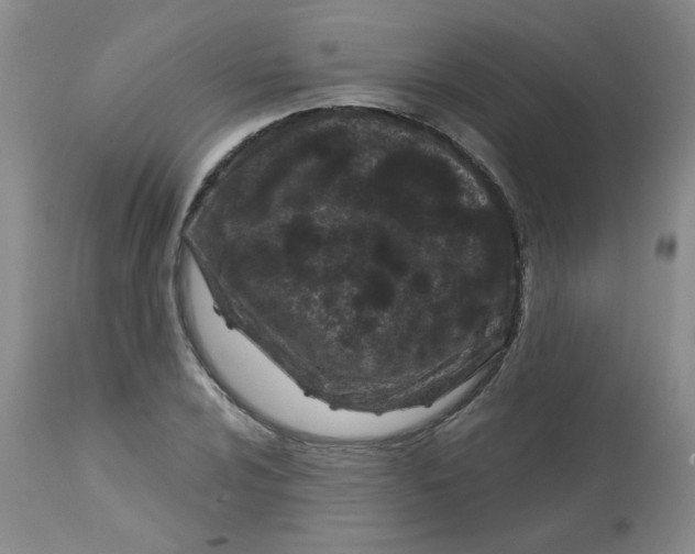 X0000113161024200909251347