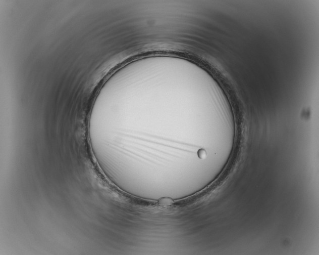 X0000113161025200909251347